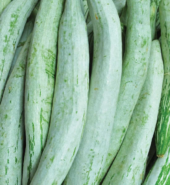 Snake Gourd 1 Kg