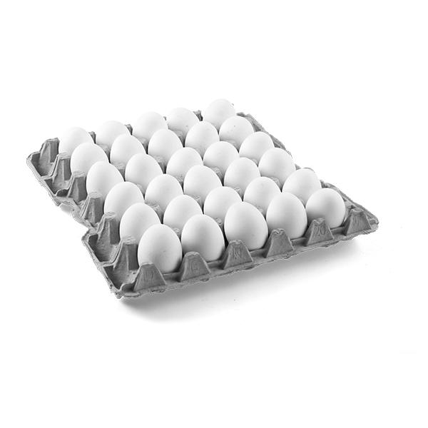 Västkustägg Eggs ( M - L ) – 30 PC Tray