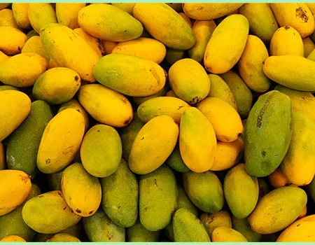 Desi dasheri mango 1KG