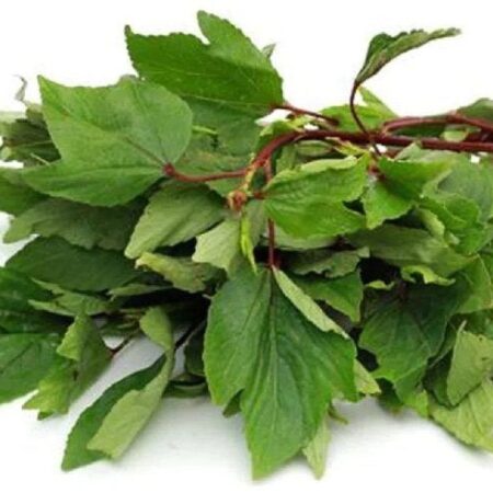 Gongura leaves SORREL LEAVES 500g