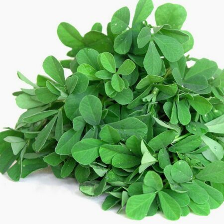 Fresh Methi 1 bunch